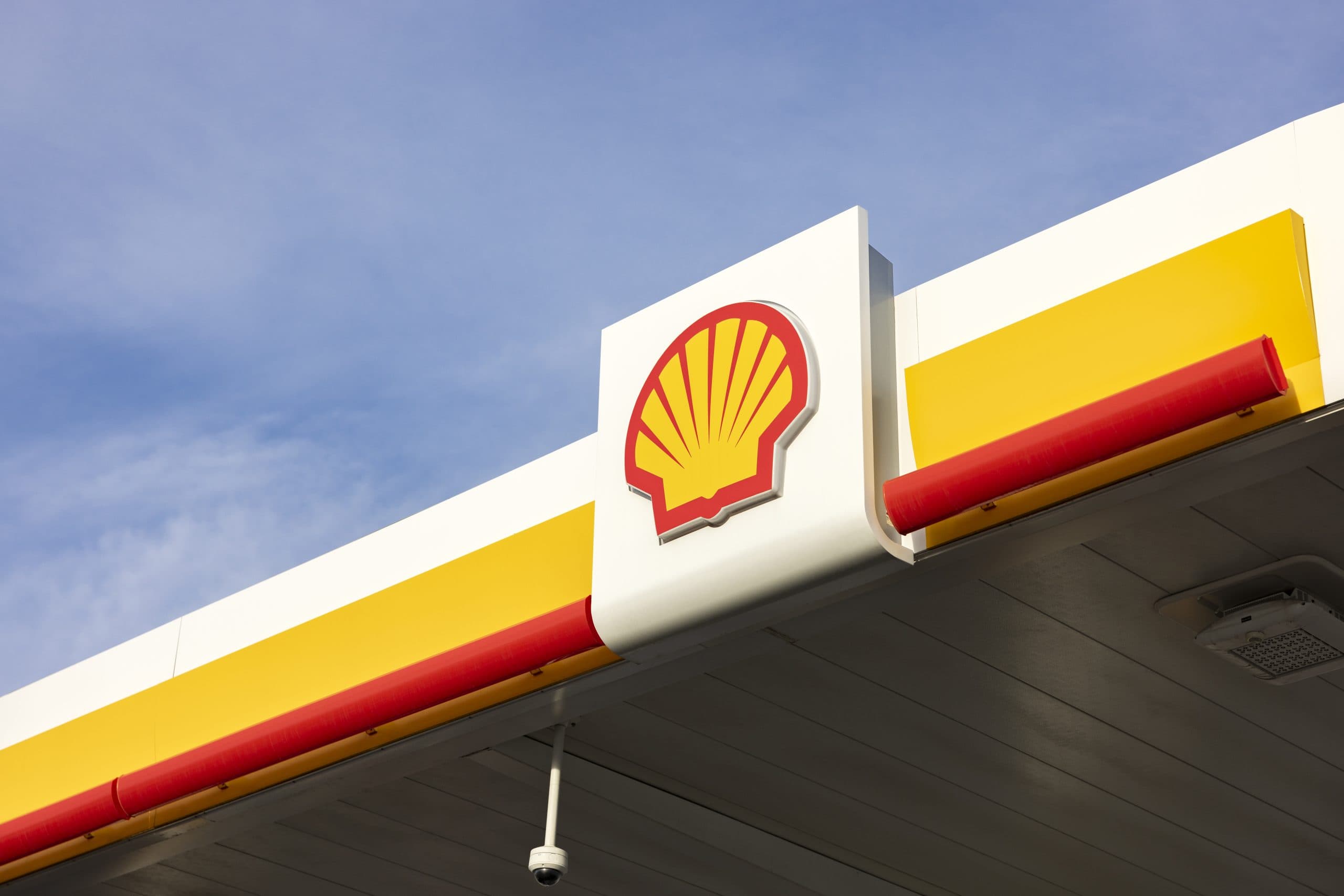 Even One of the Largest Brands in the World Can Improve